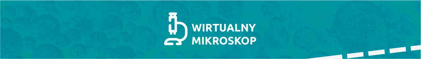 Witualny Mikroskop